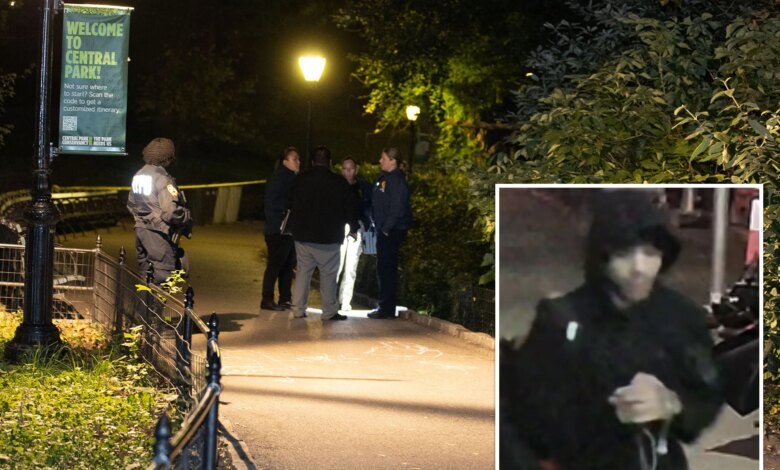 Creep wanted for raping woman at knifepoint in Central Park pictured for first time