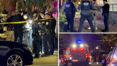 NYC woman stabs 4, before being blasted by cops during home invasion: sources