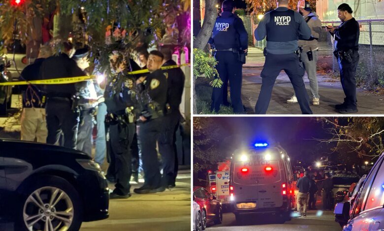 NYC woman stabs 4, before being blasted by cops during home invasion: sources