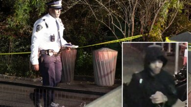NYPD boosts patrols in Central Park after stranger rapes woman at knifepoint in heinous attack: cops