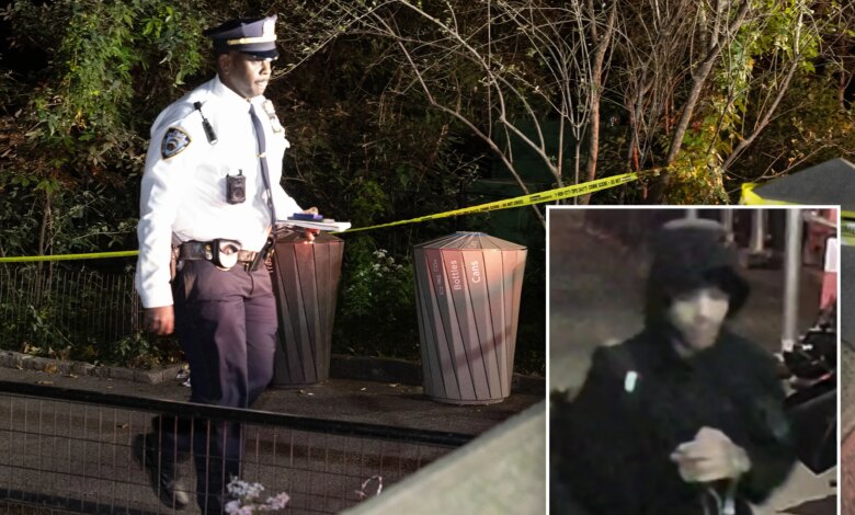 NYPD boosts patrols in Central Park after stranger rapes woman at knifepoint in heinous attack: cops