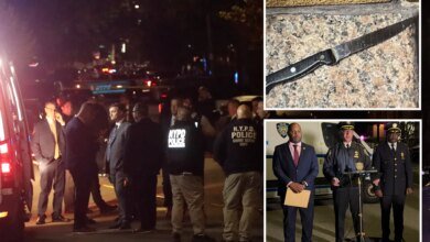 Queens woman shot by NYPD cops after picking up berzerk brother's knife: family