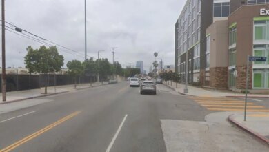 Street level view of a city street under an overcast sky with modern buildings and trees lining the road, and cars driving away in the distance.